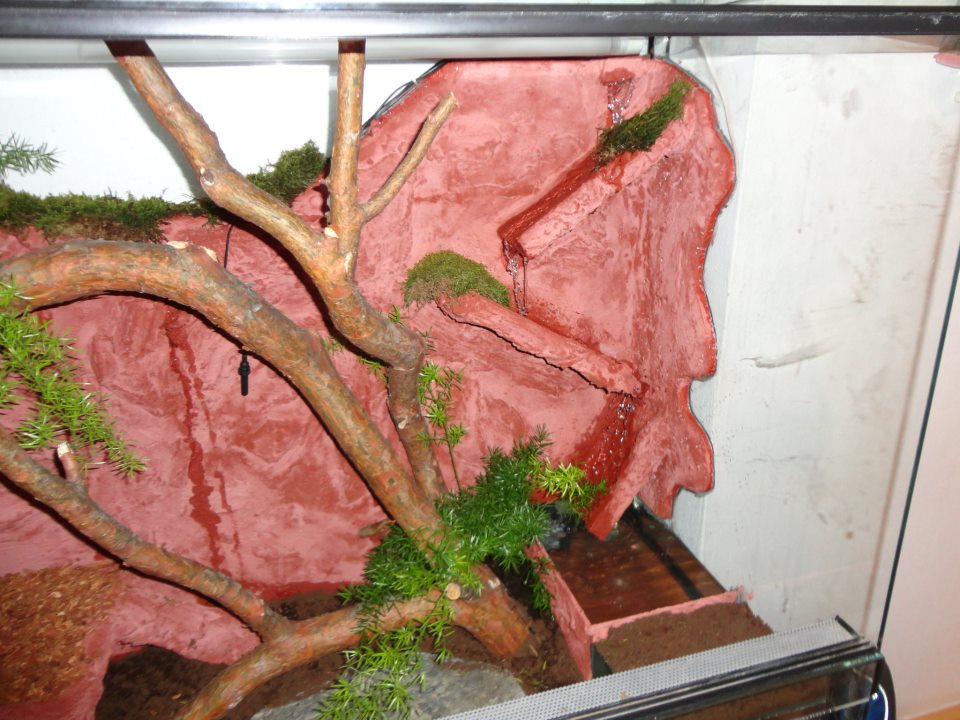 http://tera.poradna.net/file/view/12062-terarium1- jpg