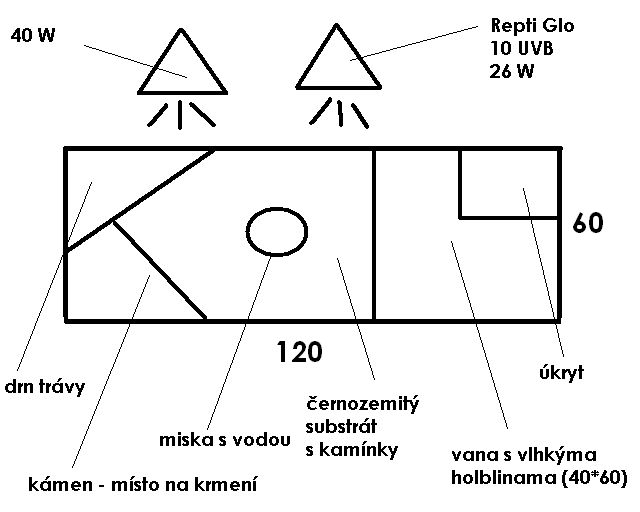 http://tera.poradna.net/file/view/1376-terarium-jp g