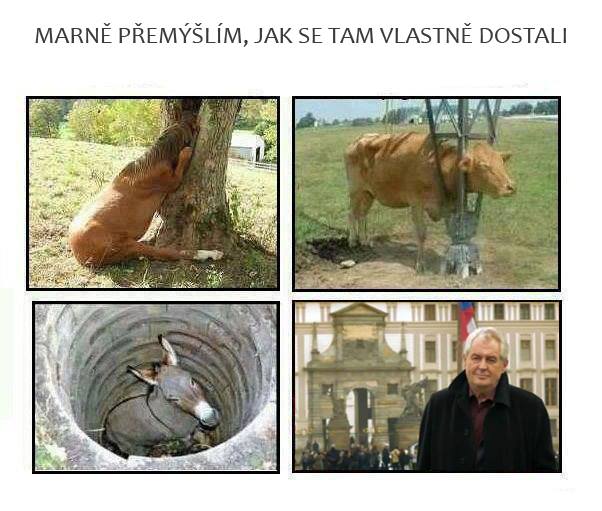 http://tera.poradna.net/file/view/16465-marne-prem yslim-jak-se-tam-dostali-jpg