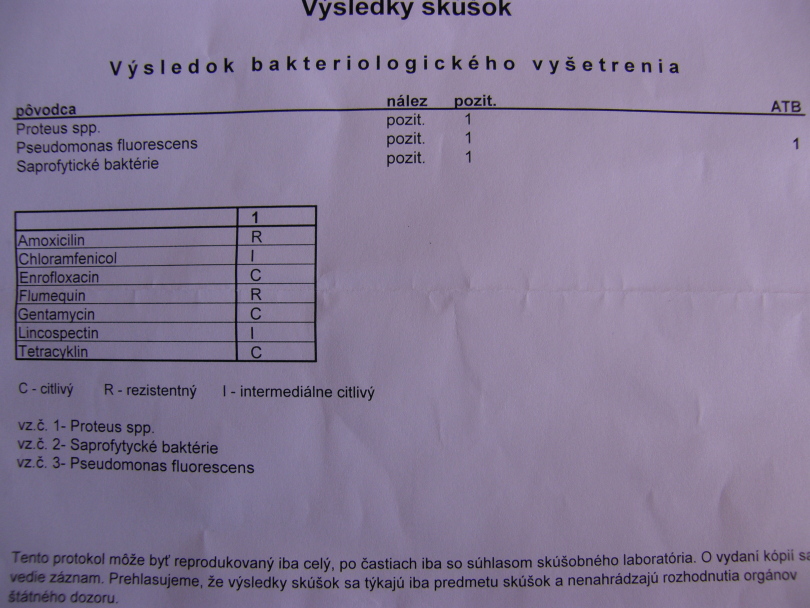 [http://tera.poradna.net/file/view/2439-p6260734-jp g]