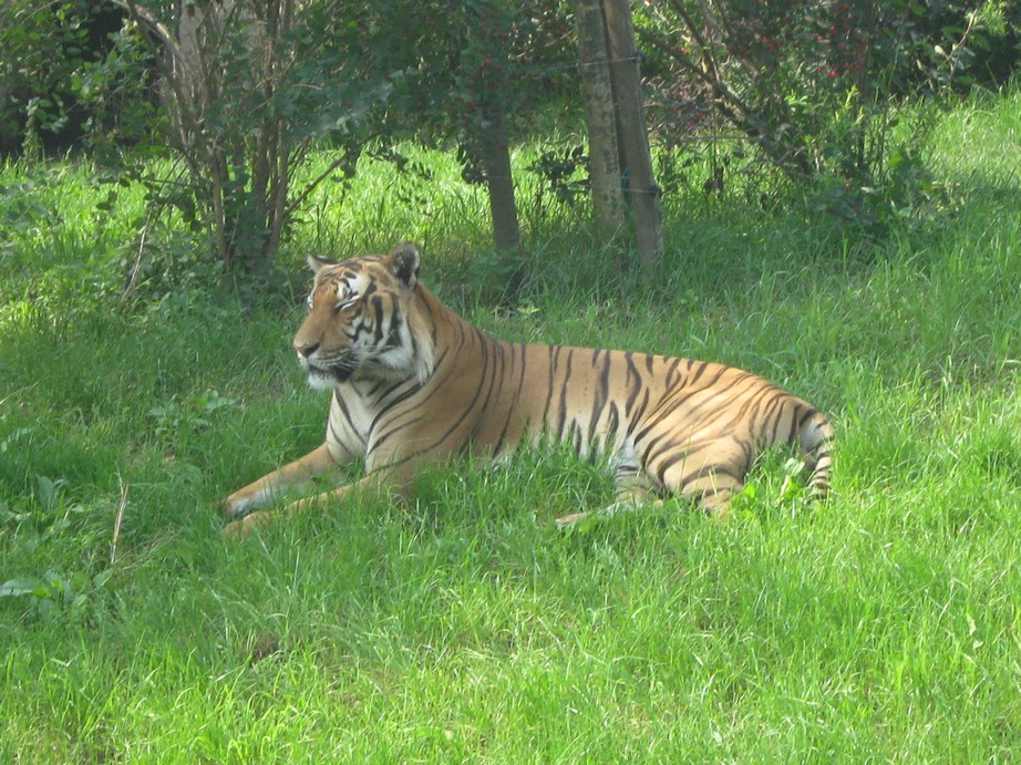 pochlubte se - zoo Zlín - poradna.net